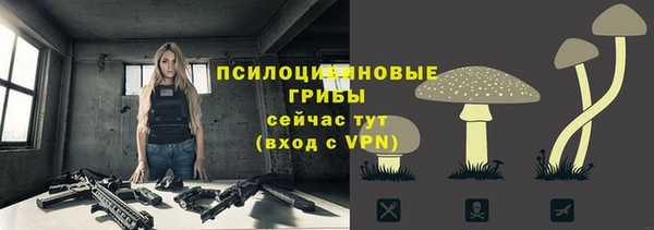 стафф Алзамай
