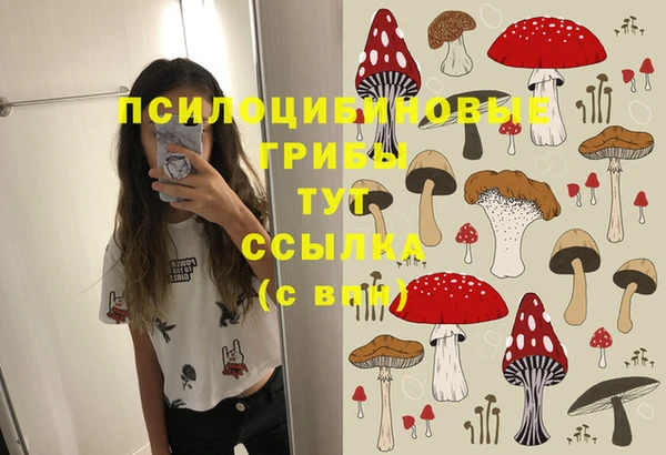стафф Алзамай