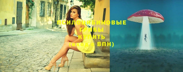 молекула духа Алексин