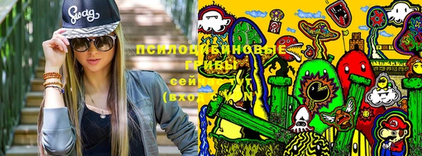 стафф Алзамай